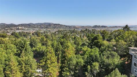 195 Marina Vista Avenue Larkspur CA 94939