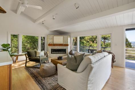 195 Marina Vista Avenue Larkspur CA 94939