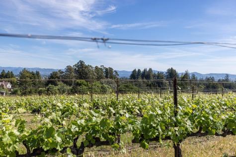 1365 Grandview Road Sebastopol CA 95472