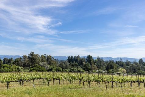 1365 Grandview Road Sebastopol CA 95472