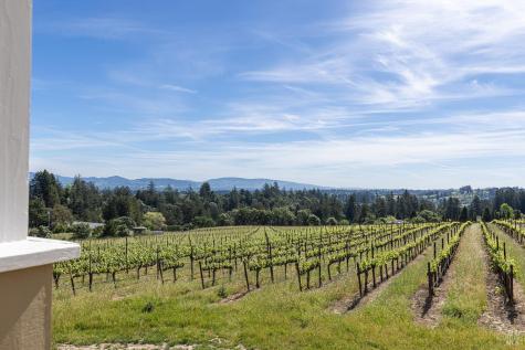 1365 Grandview Road Sebastopol CA 95472