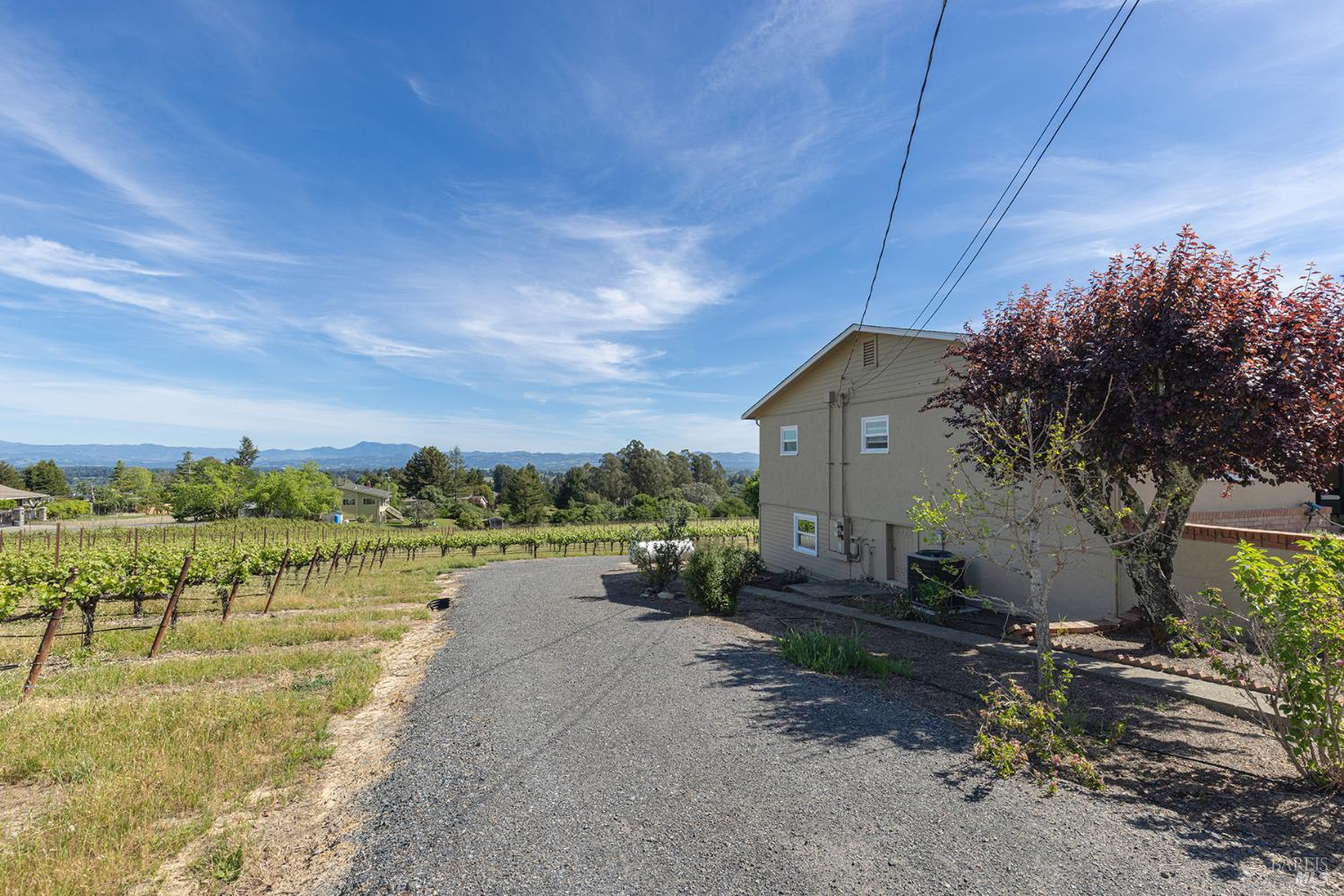 1365 Grandview Road Sebastopol CA 95472