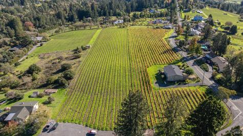 1365 Grandview Road Sebastopol CA 95472
