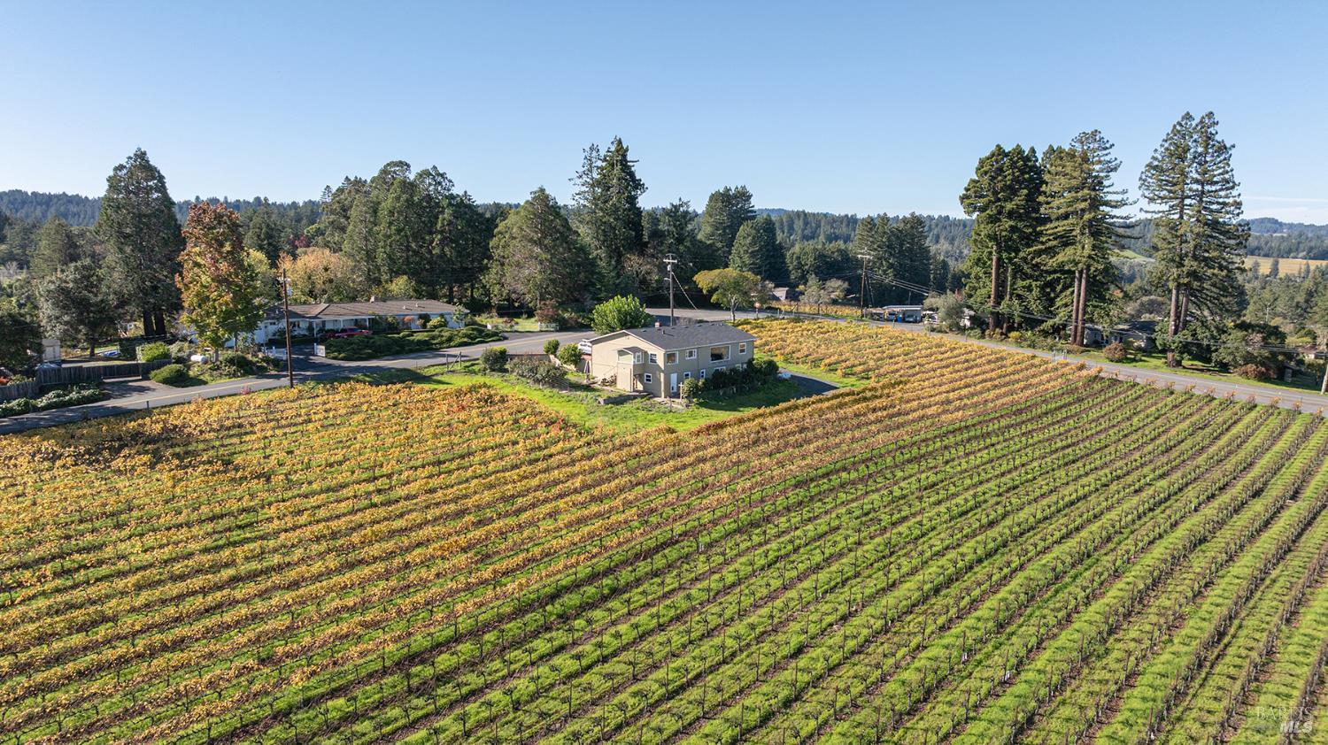 1365 Grandview Road Sebastopol CA 95472
