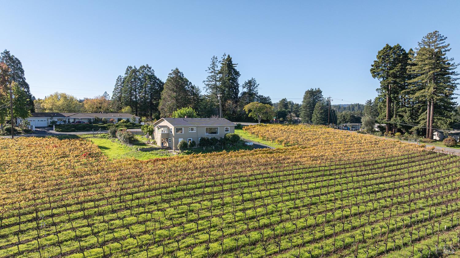 1365 Grandview Road Sebastopol CA 95472