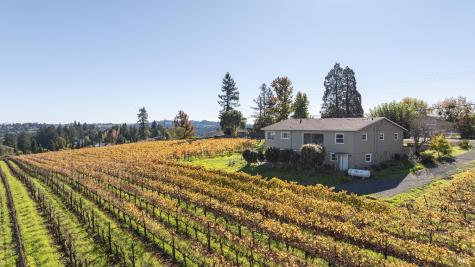 1365 Grandview Road Sebastopol CA 95472