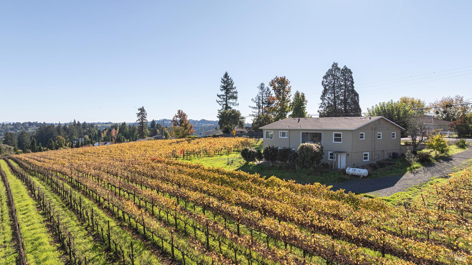 1365 Grandview Road Sebastopol CA 95472