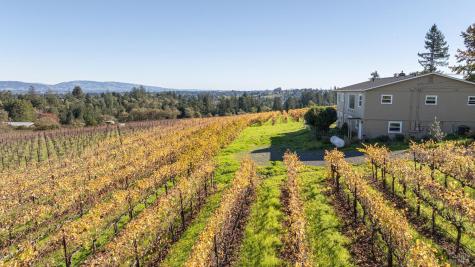 1365 Grandview Road Sebastopol CA 95472