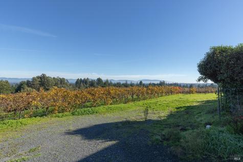 1365 Grandview Road Sebastopol CA 95472