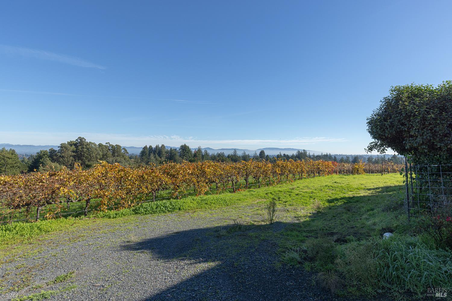 1365 Grandview Road Sebastopol CA 95472