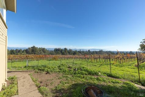 1365 Grandview Road Sebastopol CA 95472