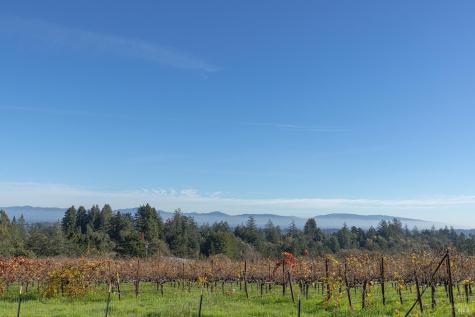 1365 Grandview Road Sebastopol CA 95472