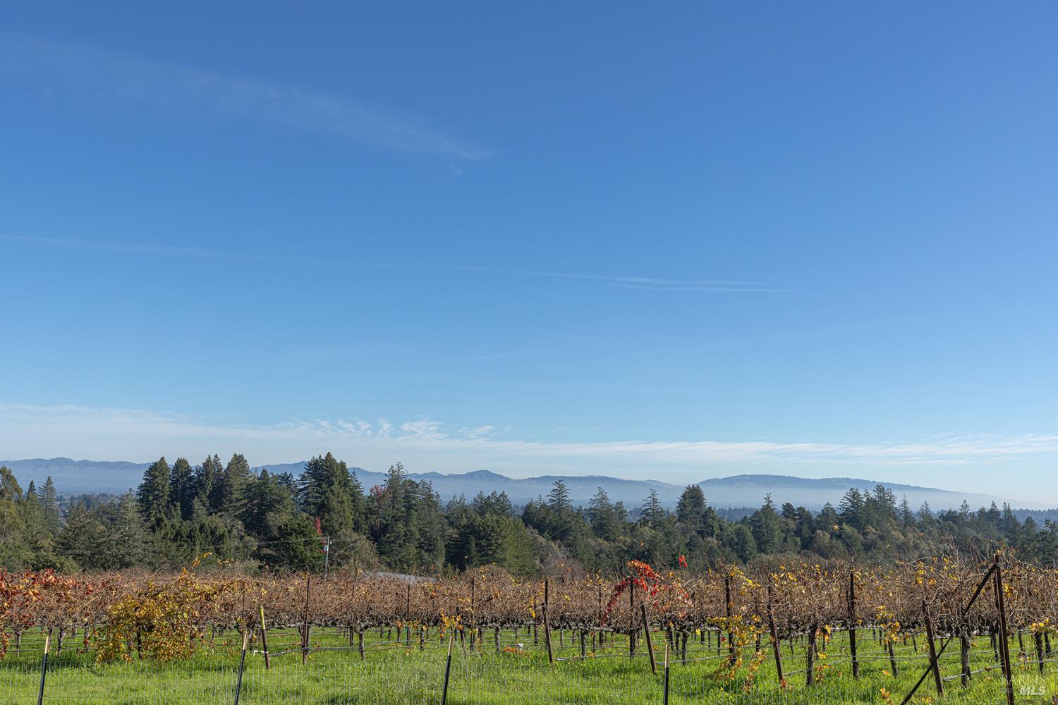 1365 Grandview Road Sebastopol CA 95472
