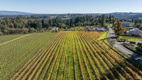 1365 Grandview Road Sebastopol CA 95472