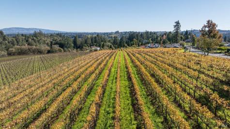 1365 Grandview Road Sebastopol CA 95472