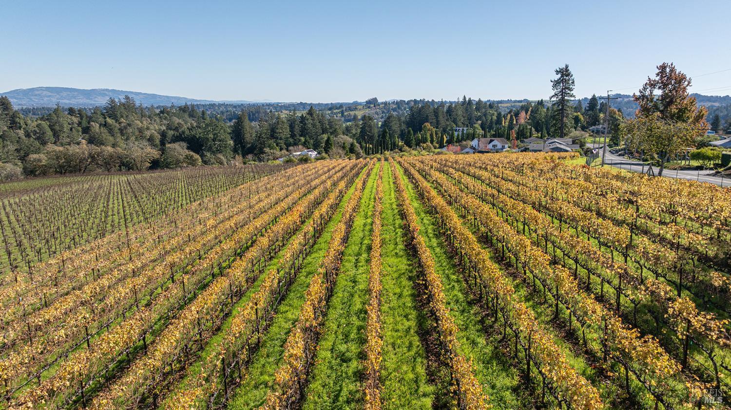 1365 Grandview Road Sebastopol CA 95472