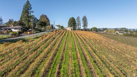 1365 Grandview Road Sebastopol CA 95472