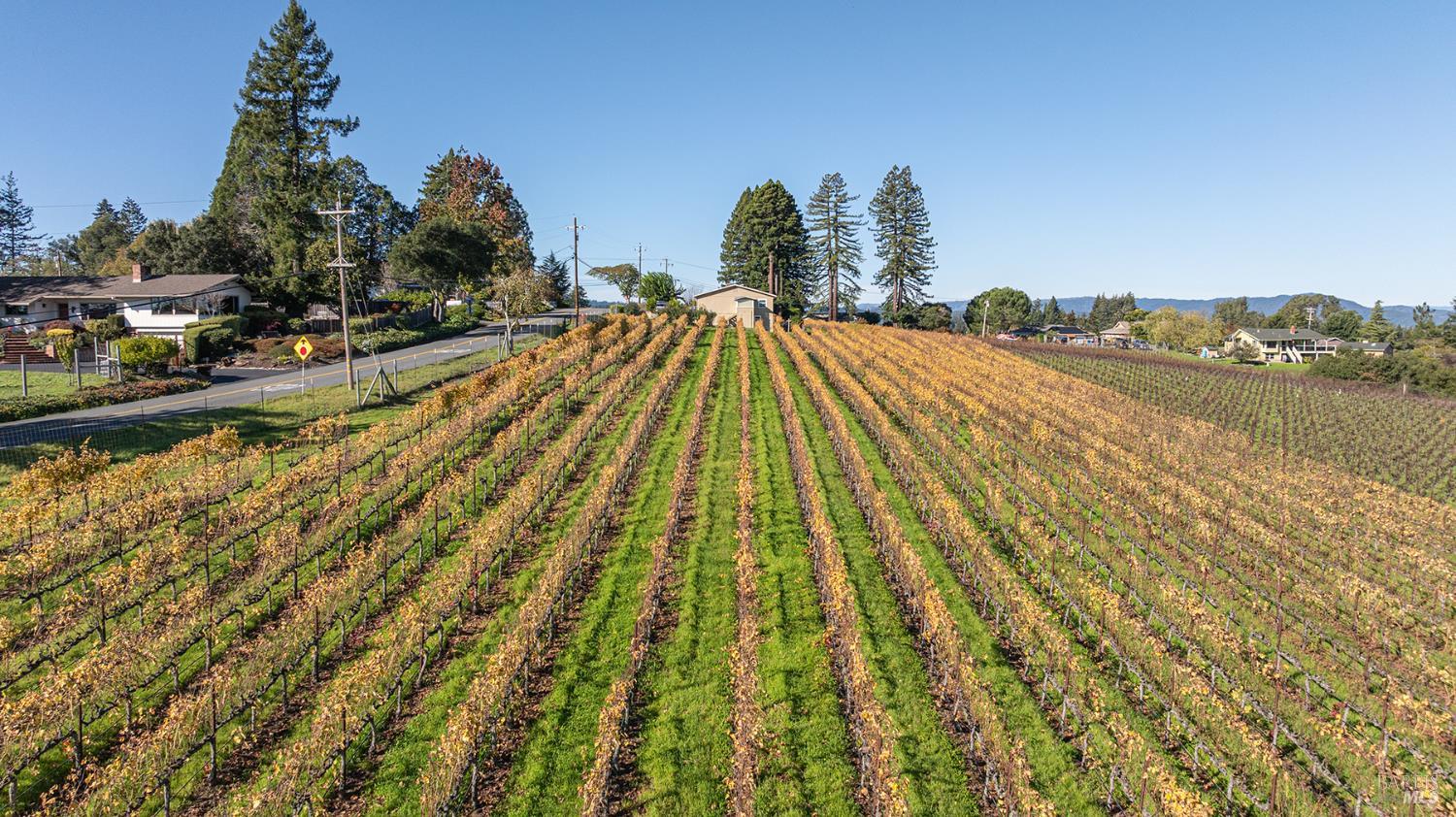 1365 Grandview Road Sebastopol CA 95472