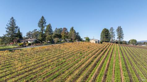 1365 Grandview Road Sebastopol CA 95472