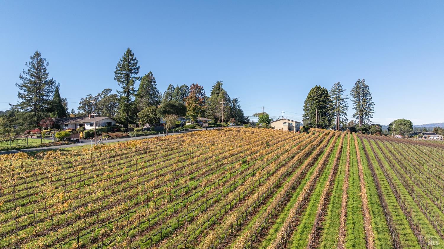 1365 Grandview Road Sebastopol CA 95472