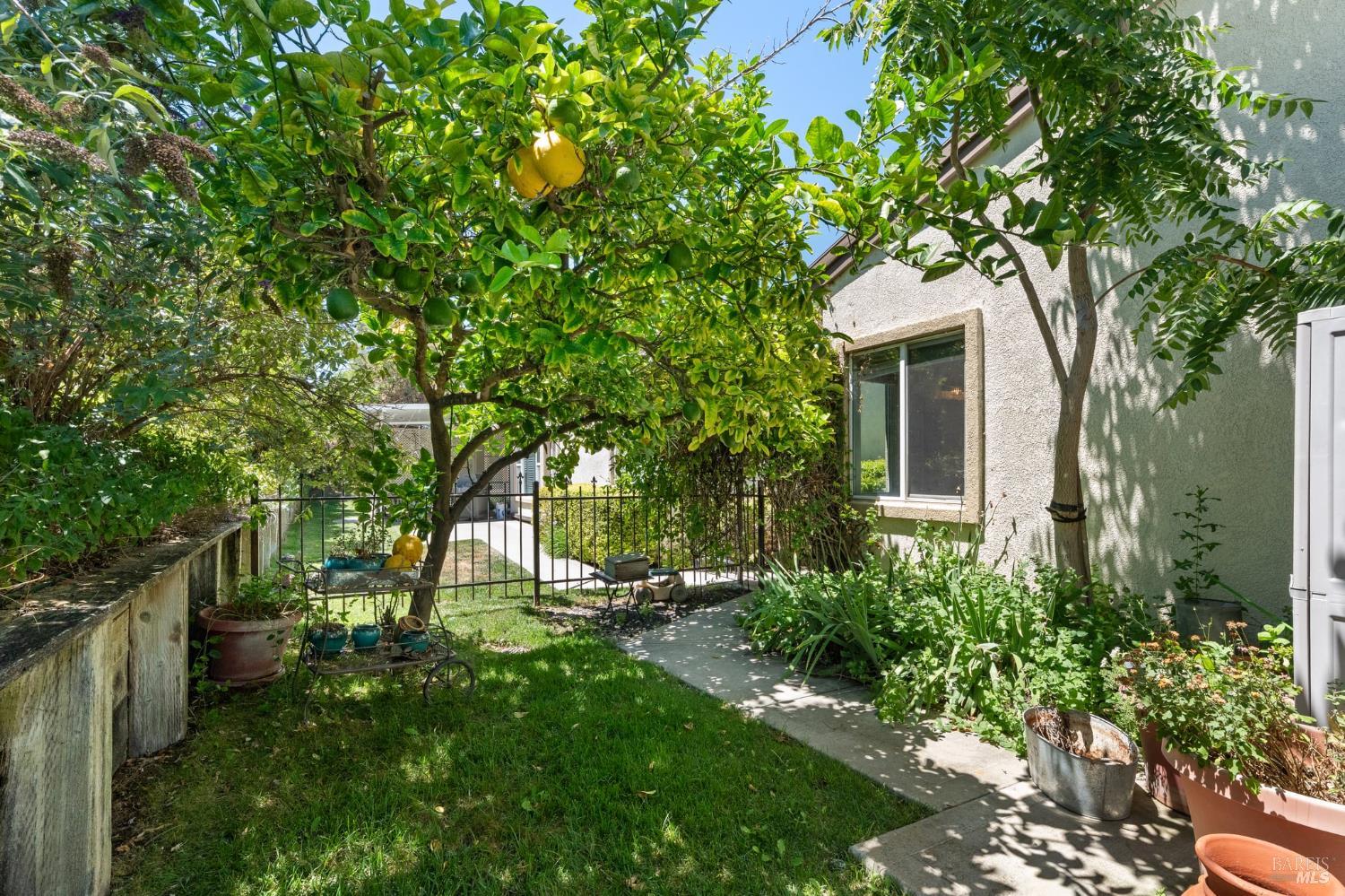 602 Summerset Drive Rio Vista CA 94571