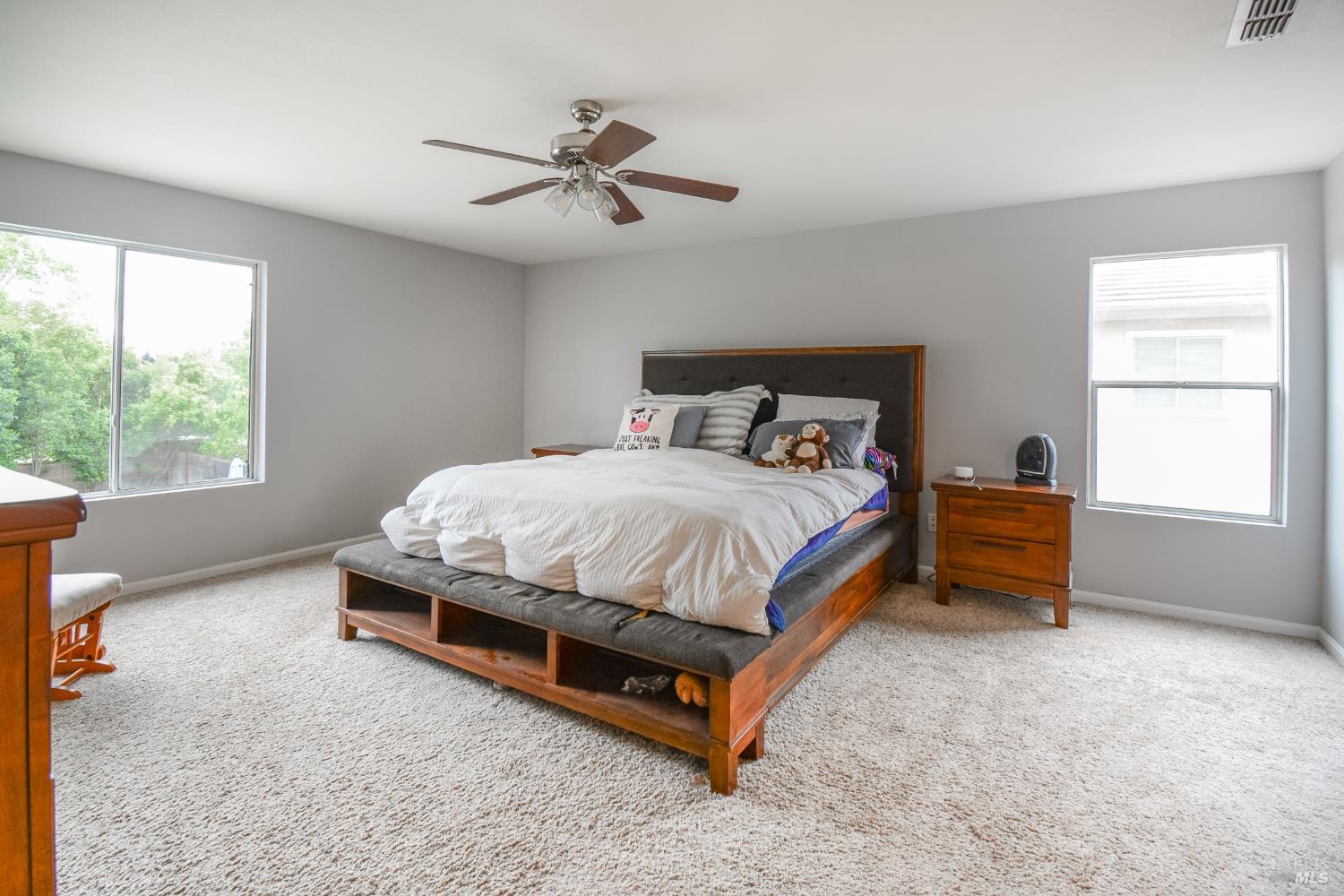 640 Ferguson Court Dixon CA 95620
