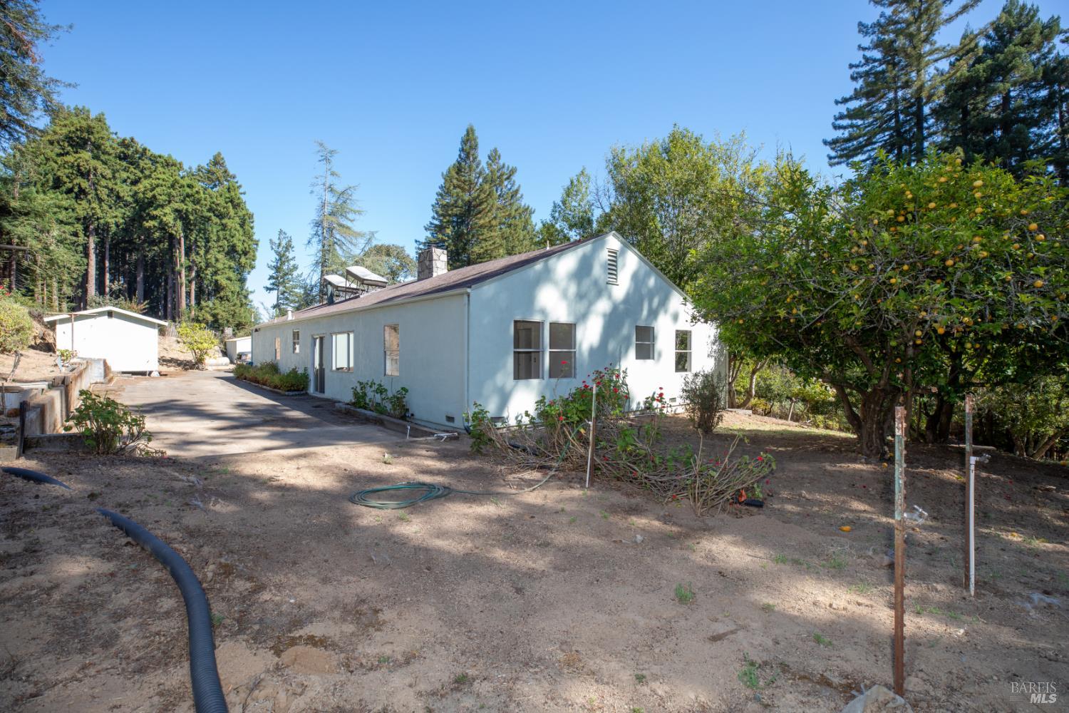 11491 Occidental Road Sebastopol CA 95472