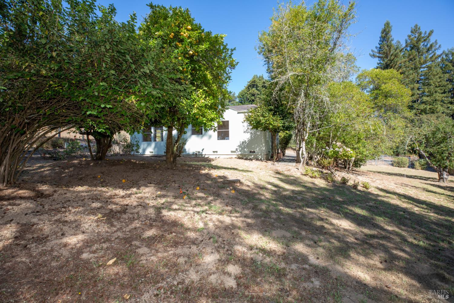 11491 Occidental Road Sebastopol CA 95472