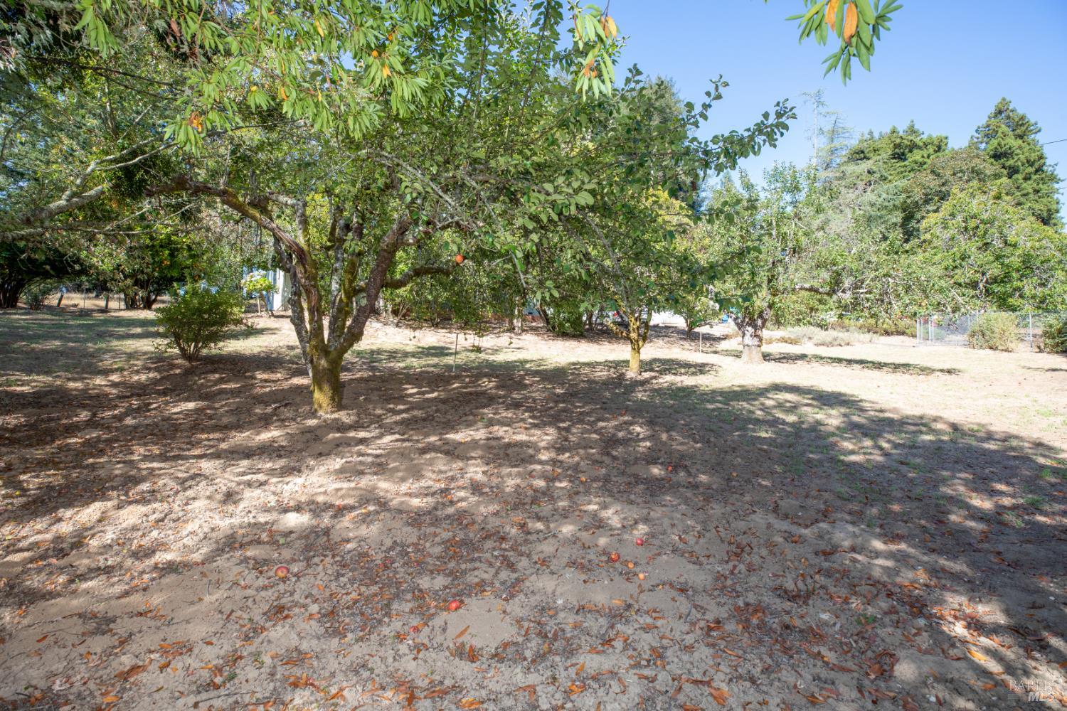 11491 Occidental Road Sebastopol CA 95472