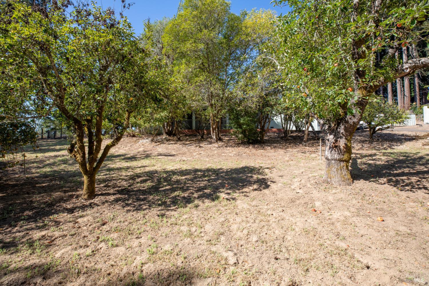 11491 Occidental Road Sebastopol CA 95472