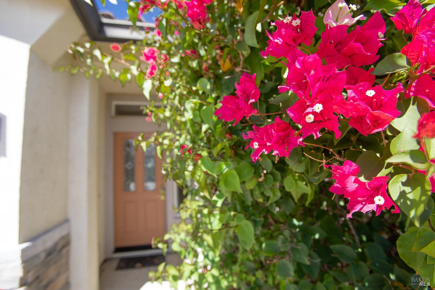 346 Desert Forest Court Rio Vista CA 94571