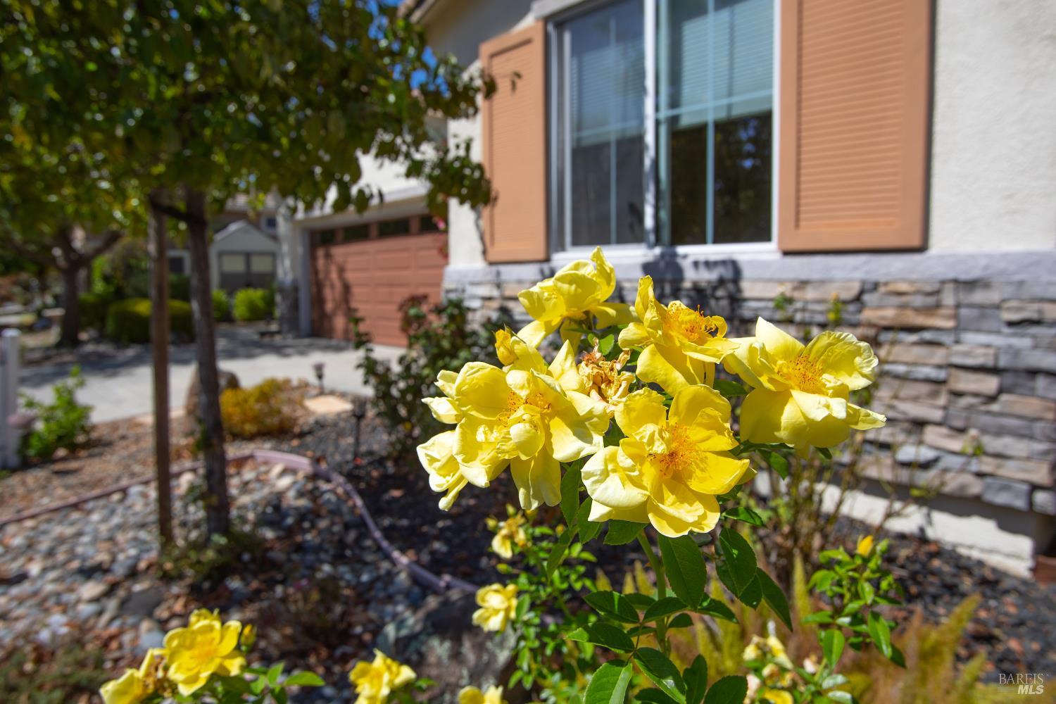 346 Desert Forest Court Rio Vista CA 94571