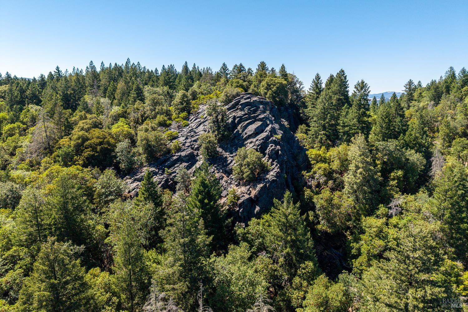 850 Davidson Lane Laytonville CA 95454