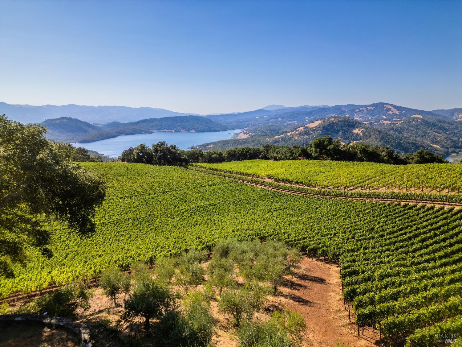 1535 Sage Canyon Road St. Helena CA 94574
