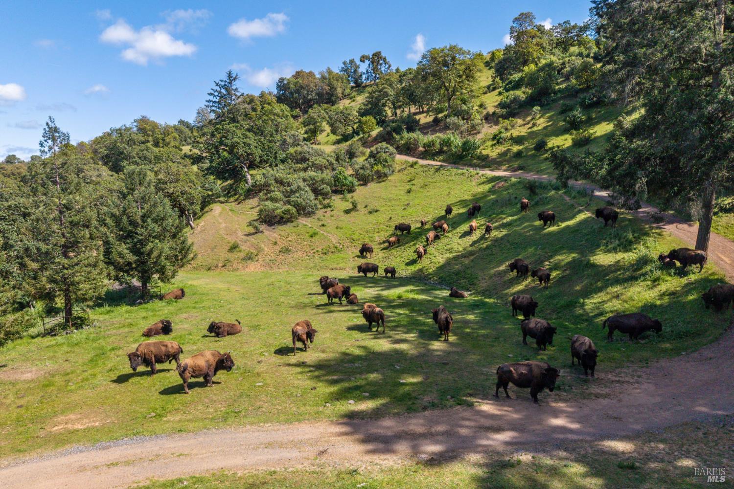 6201 E Highway 20 Highway Ukiah CA 95482