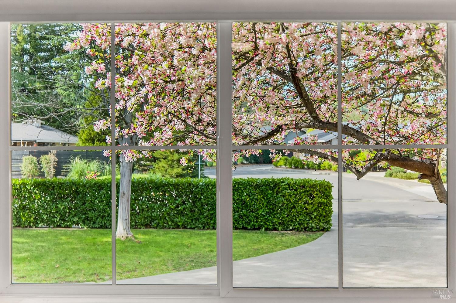 2543 Pinot Way St. Helena CA 94574