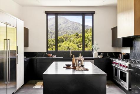 56 Millard Road Larkspur CA 94939