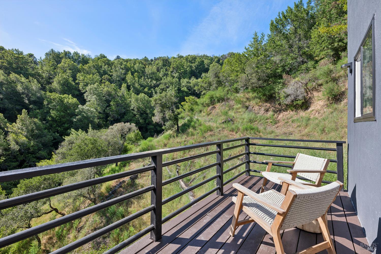56 Millard Road Larkspur CA 94939