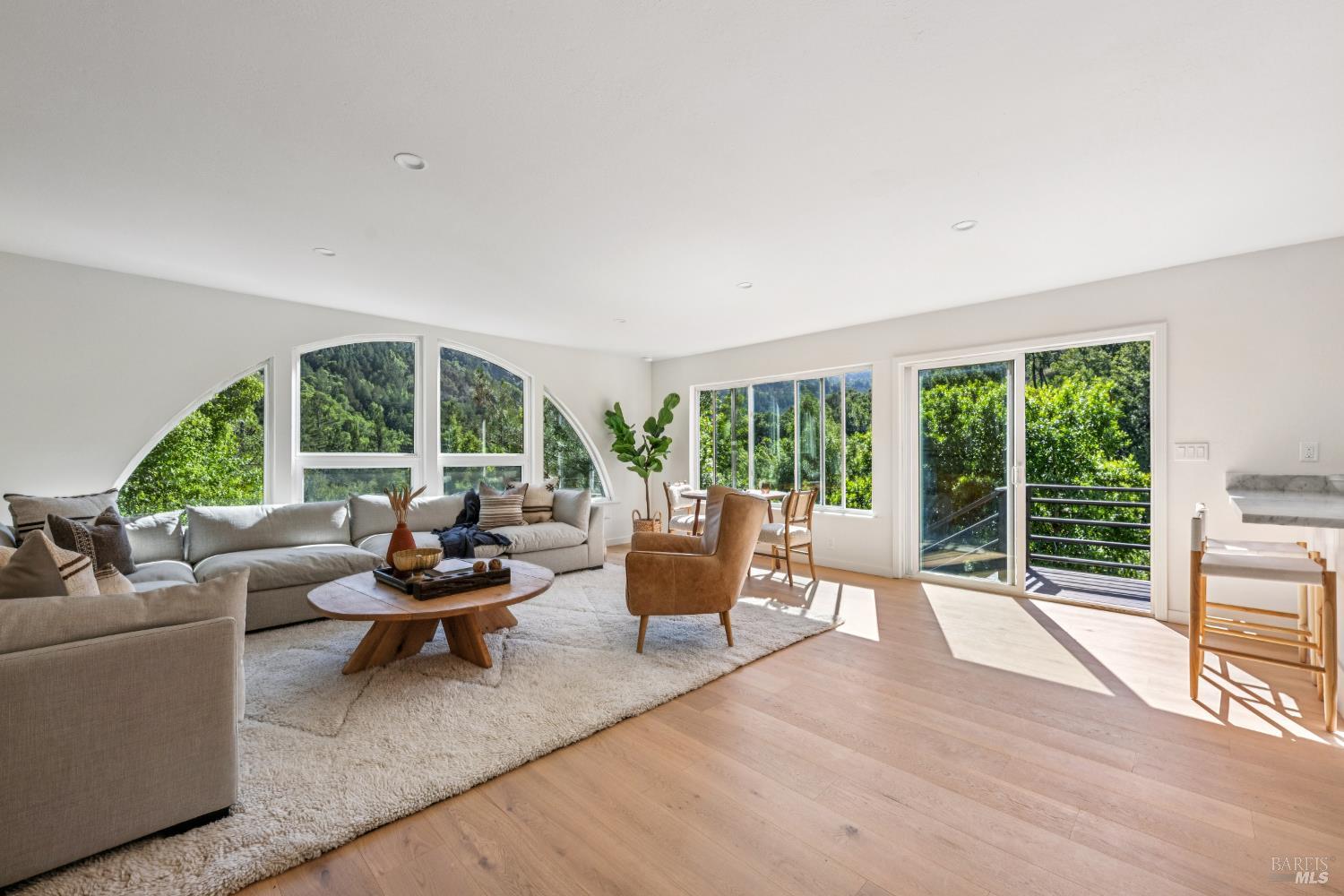 56 Millard Road Larkspur CA 94939