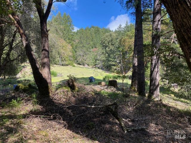 60731 Highway 271 Leggett CA 95585