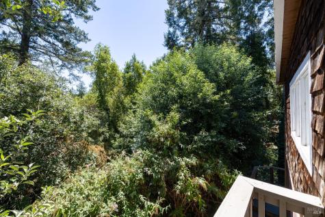 212 Farrell Drive Forestville CA 95436