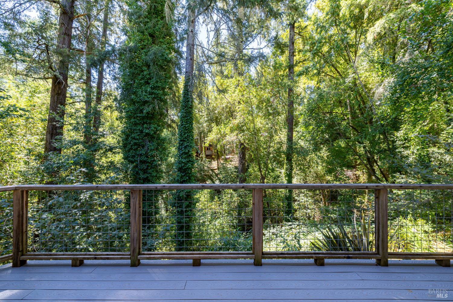 212 Farrell Drive Forestville CA 95436