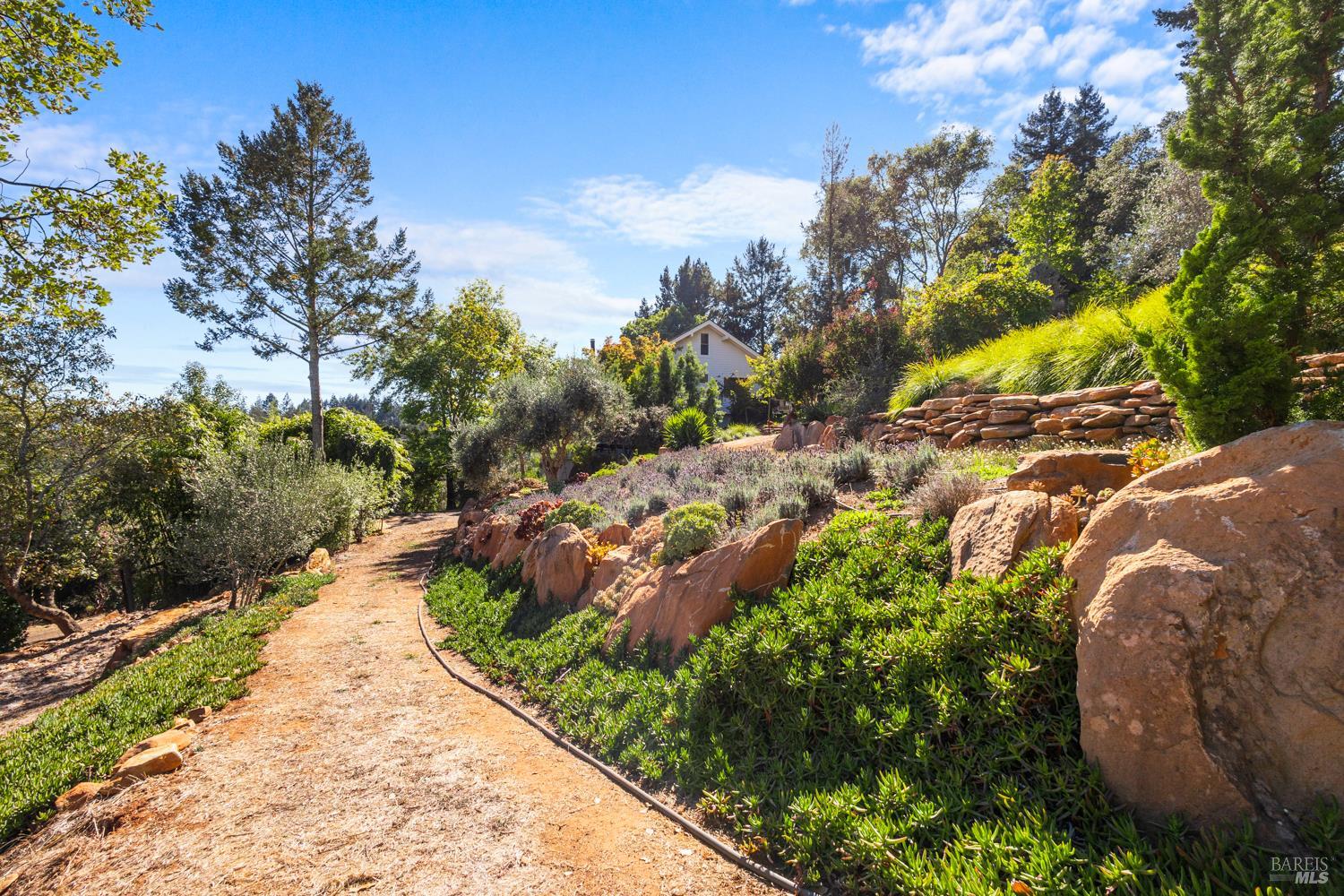 1424 Quail Court Santa Rosa CA 95404