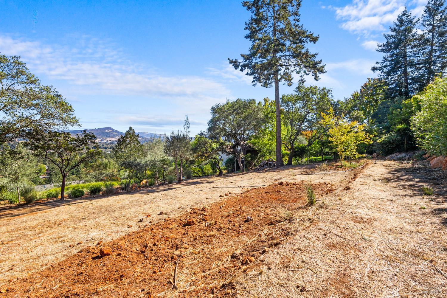 1424 Quail Court Santa Rosa CA 95404