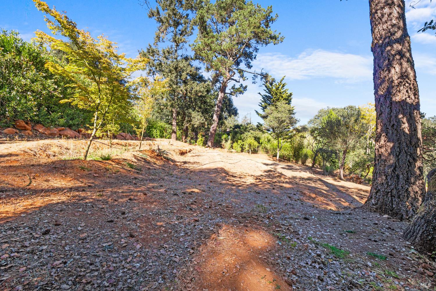 1424 Quail Court Santa Rosa CA 95404