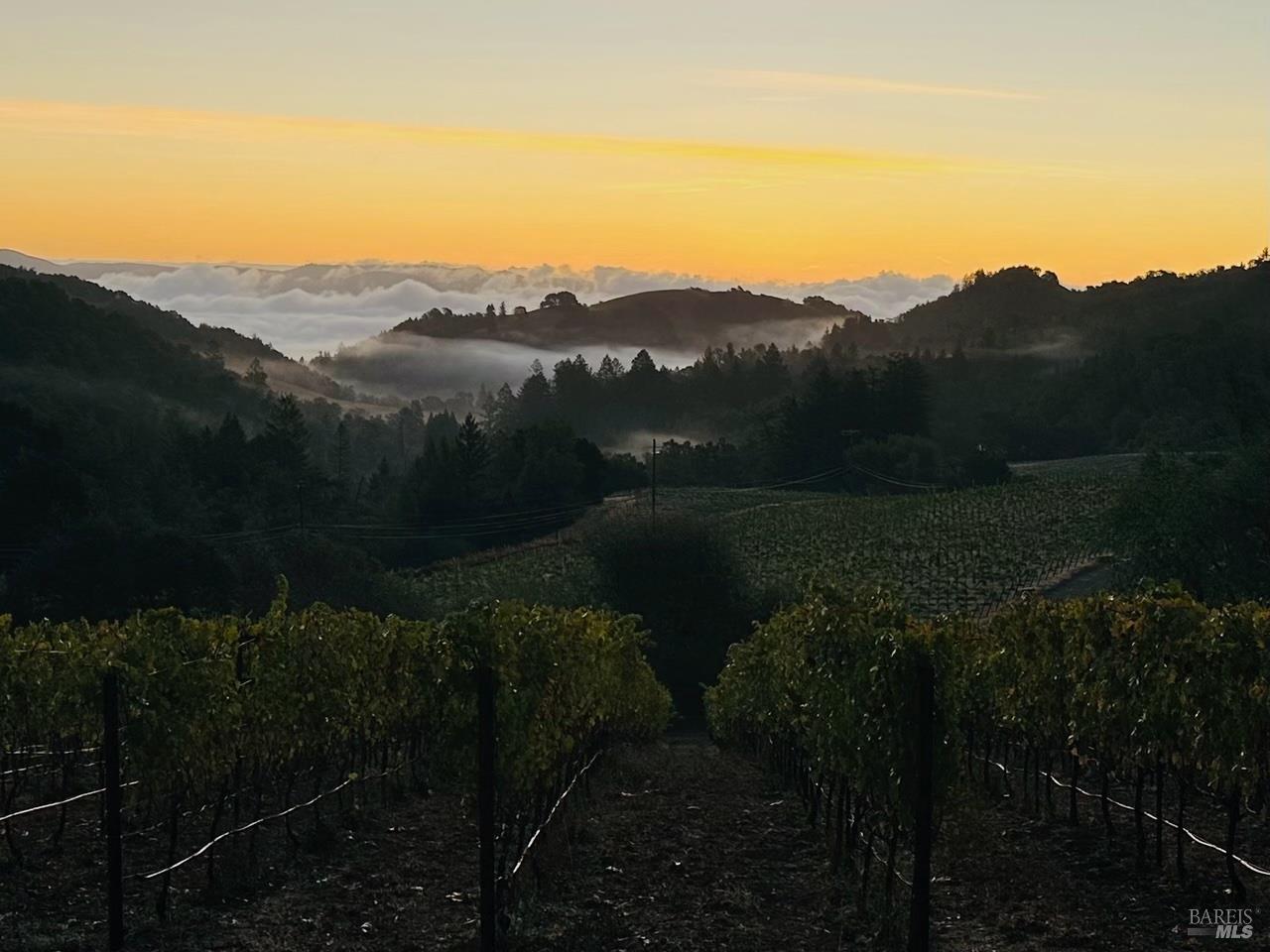4500 Redwood Road Napa CA 94558