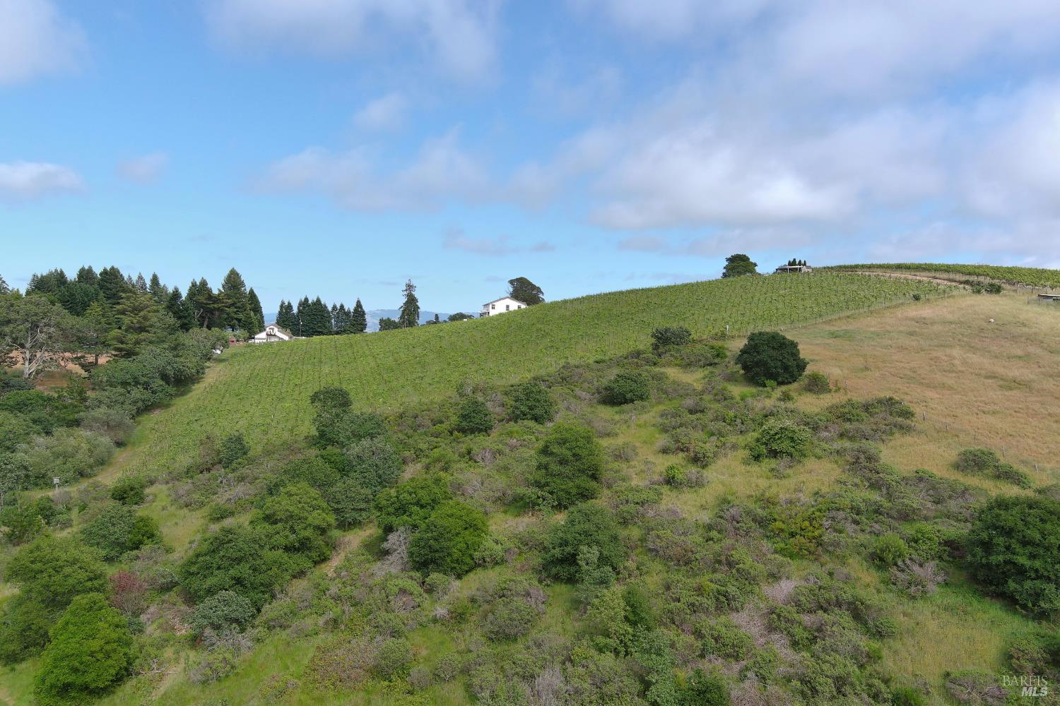 2930 Thorn Road Sebastopol CA 95472
