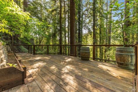 11010 Summerhome Park Road Forestville CA 95436