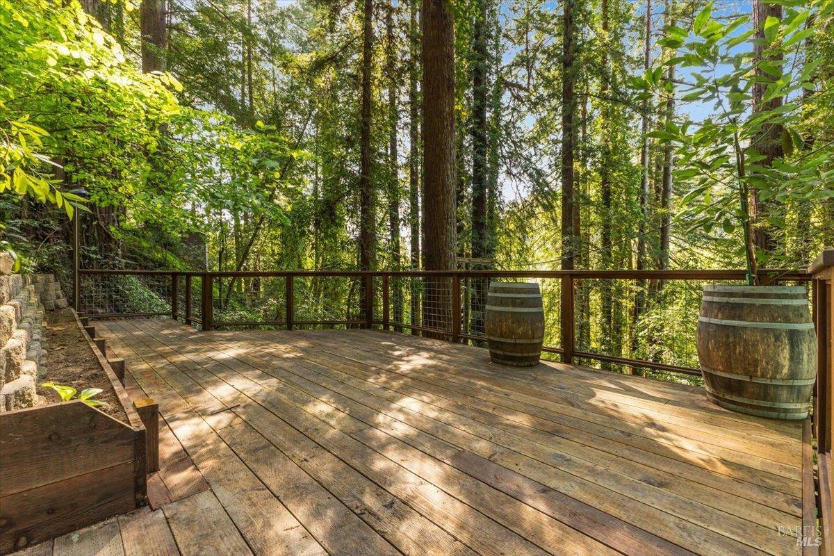 11010 Summerhome Park Road Forestville CA 95436