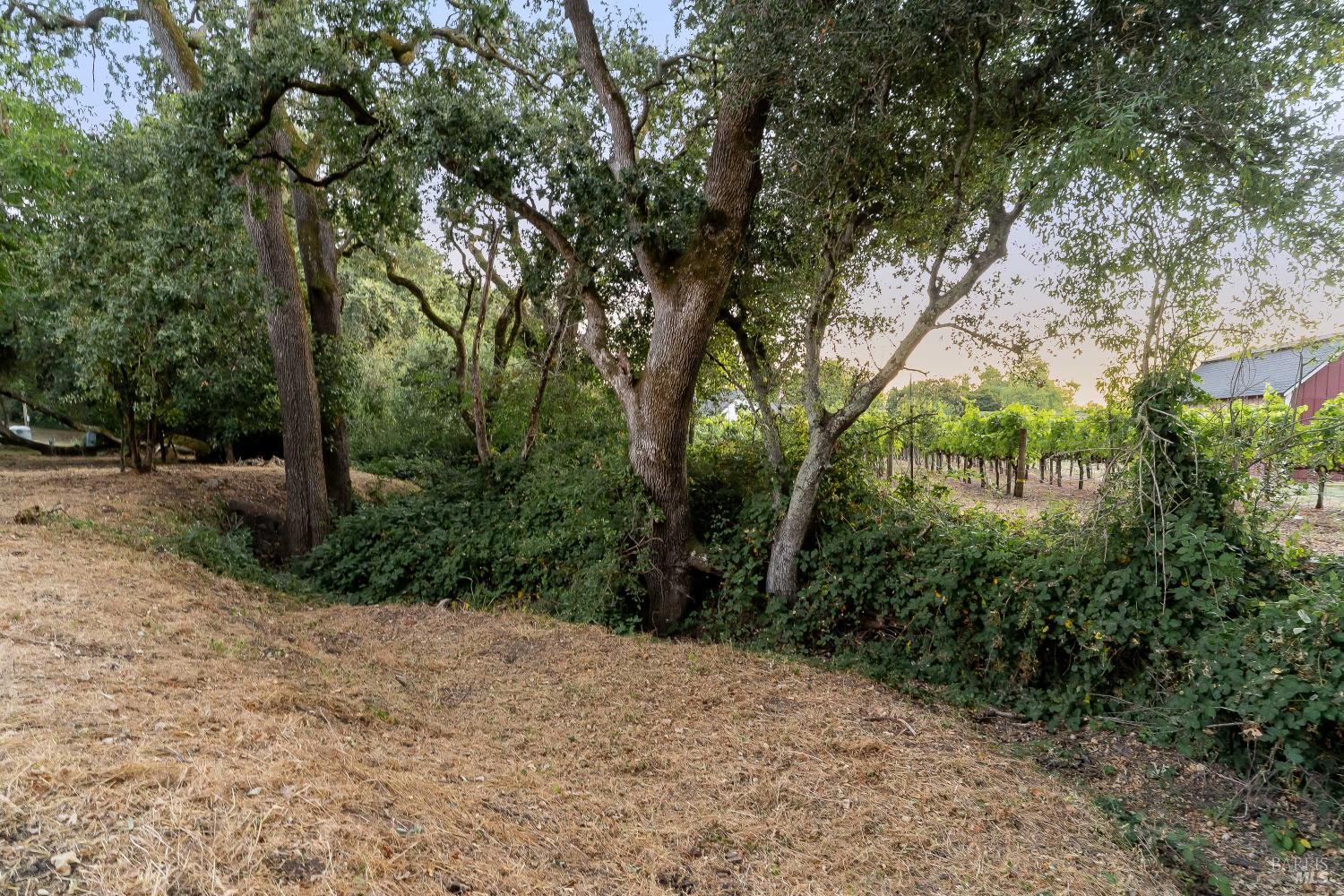 1051 Fabiola Drive Napa CA 94558